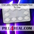 Oral Jelly 100Mg Kamagra How To Use 16